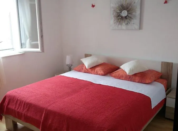 Crni Сasa de vacaciones *