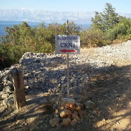 Crni Сasa de vacaciones